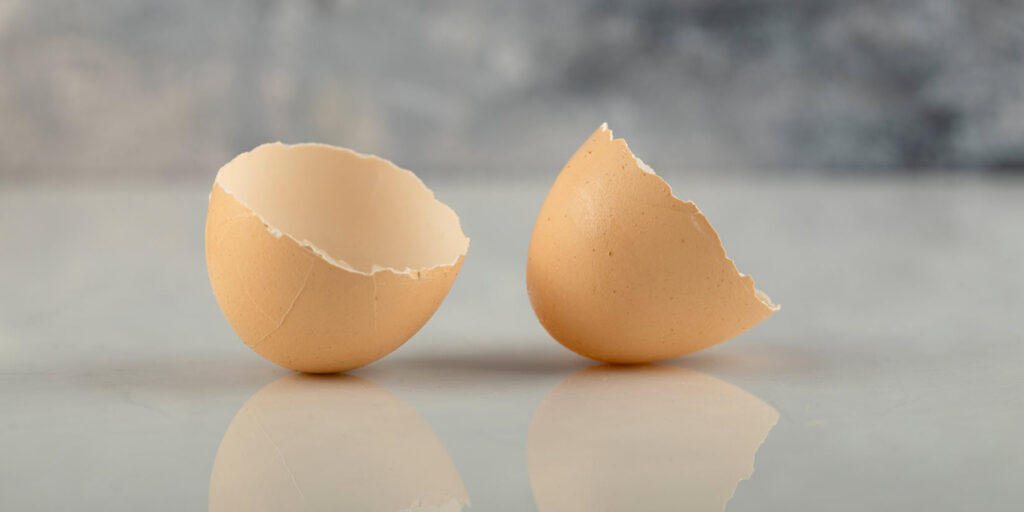 What Is Not Safe to Put Down My Garbage Disposal?