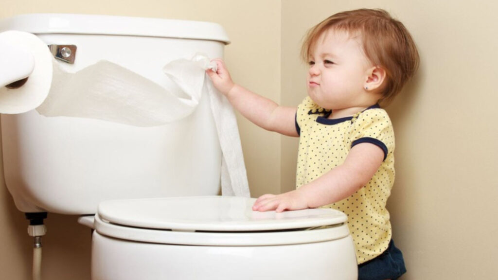 Tired of Your Toilet’s Attitude?